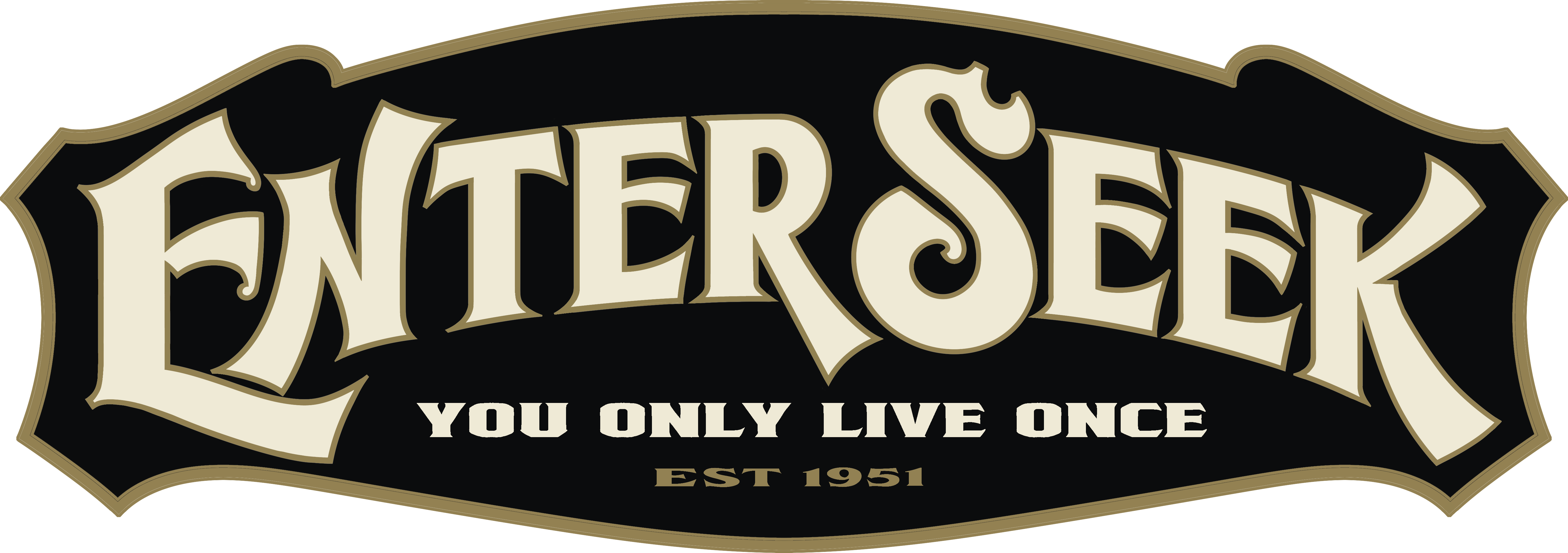 enterseek logo